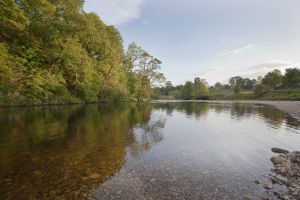 bolton abbey 6 sm.jpg